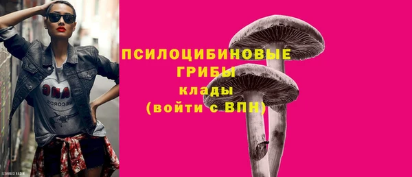 соль ск Алексеевка