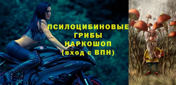 соль ск Алексеевка