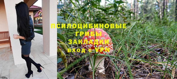 соль ск Алексеевка